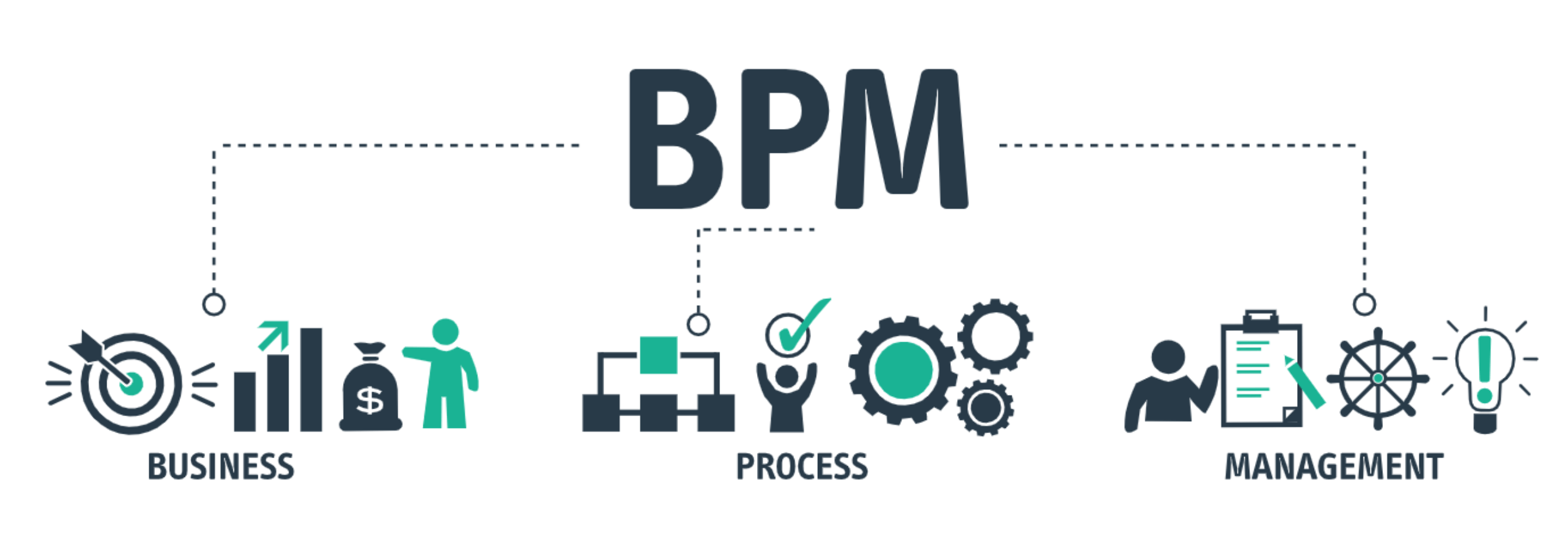 What is the BPM model?
