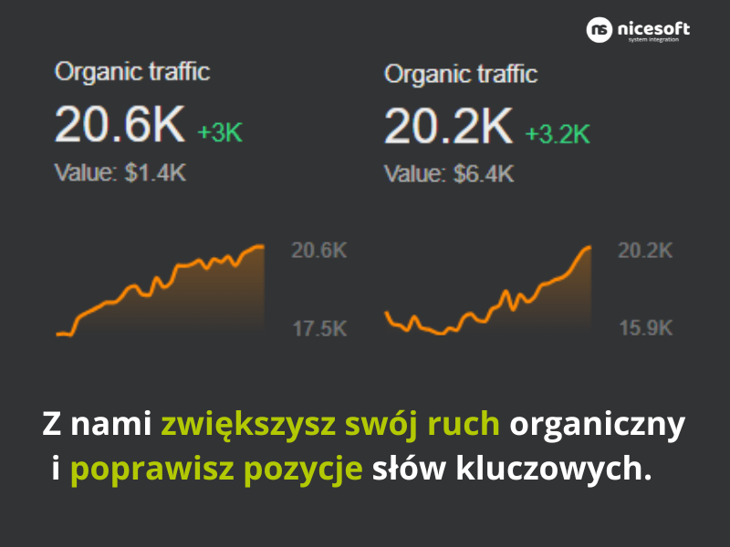 Skuteczne pozycjonowanie SEO z Nicesoft, wyniki