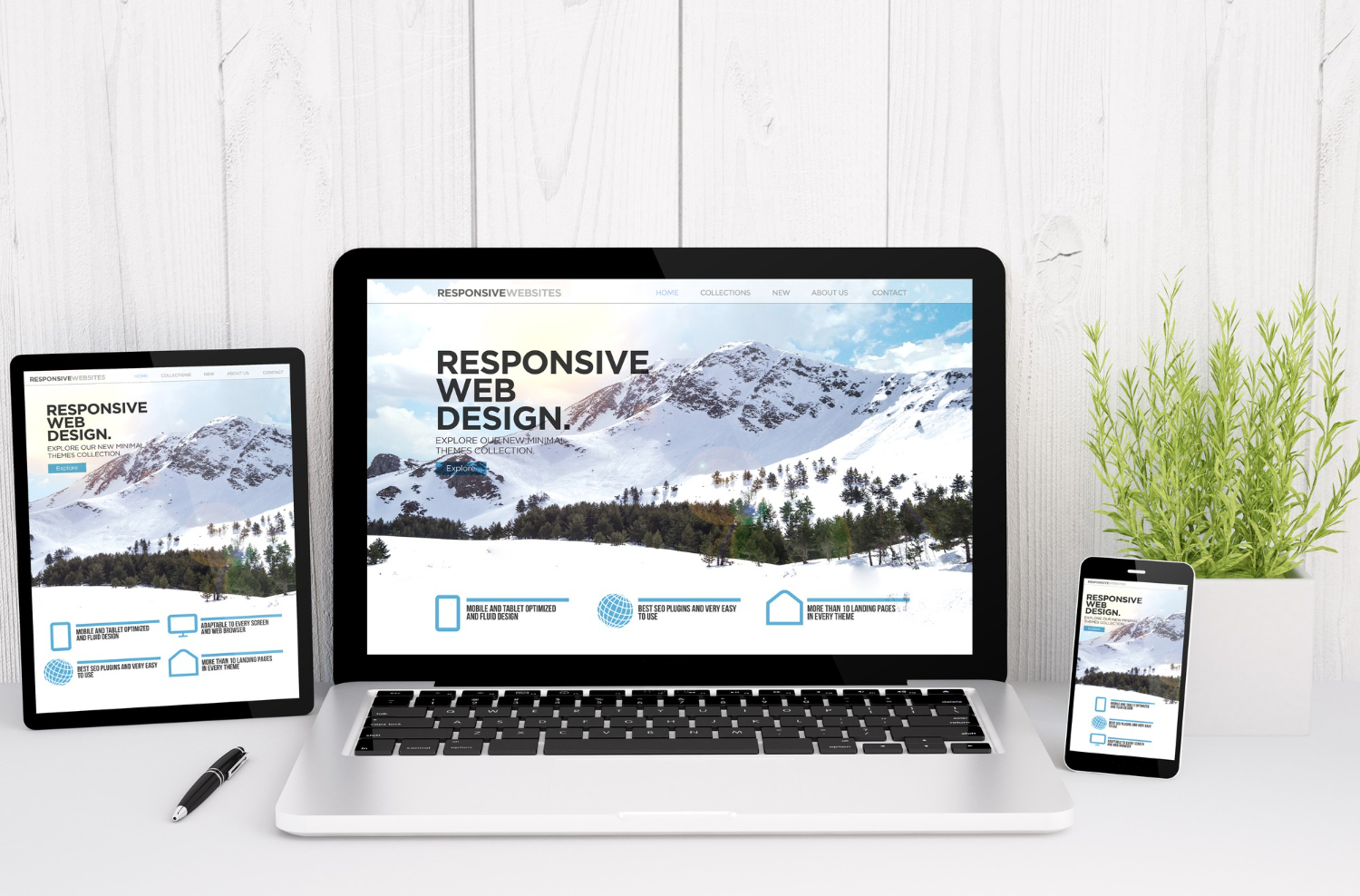 RWD or Responsive Web Design