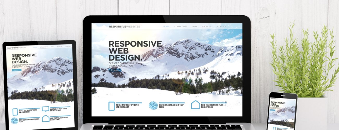 RWD or Responsive Web Design