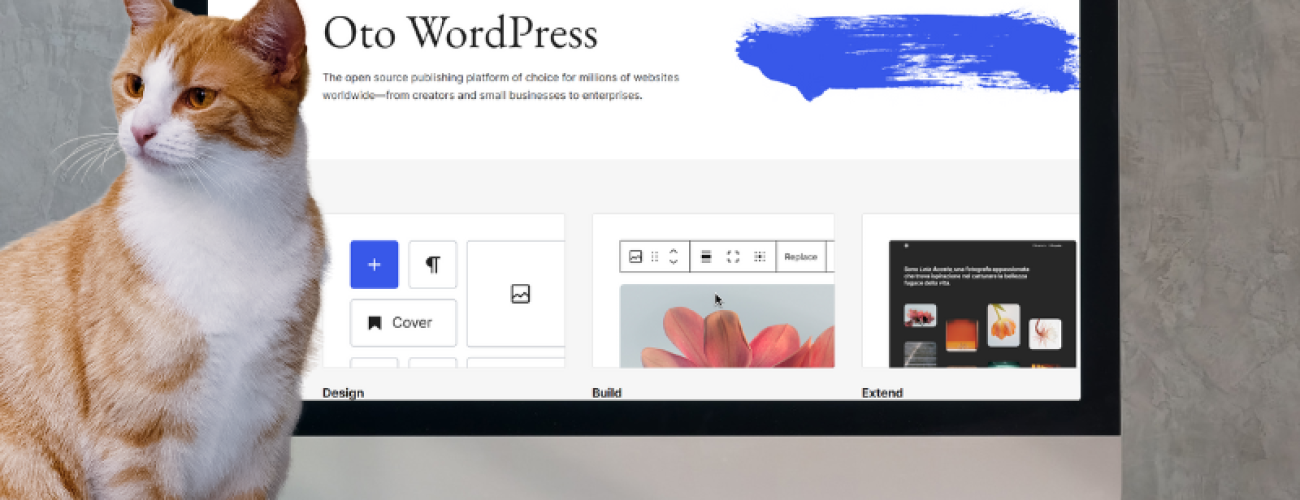 Skuteczne pozycjonowanie